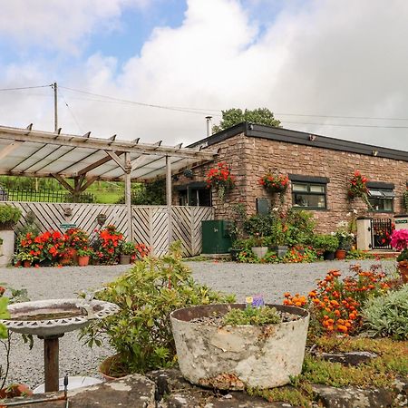 Ffynnonlwyd Cottage Llangynin Eksteriør billede