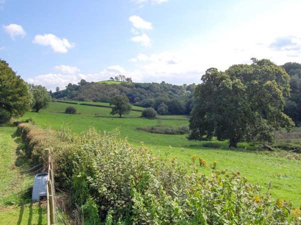 Ffynnonlwyd Cottage Llangynin Eksteriør billede