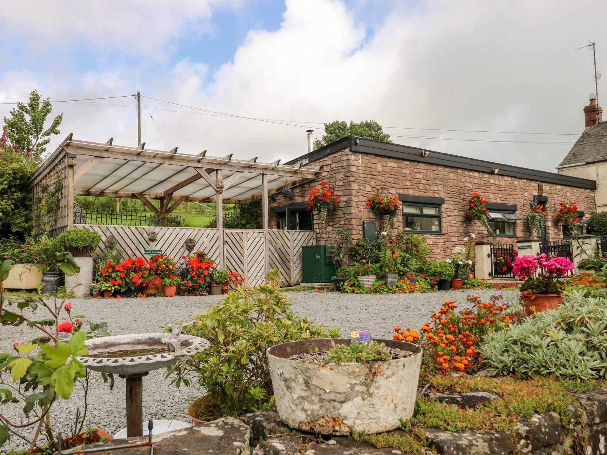 Ffynnonlwyd Cottage Llangynin Eksteriør billede